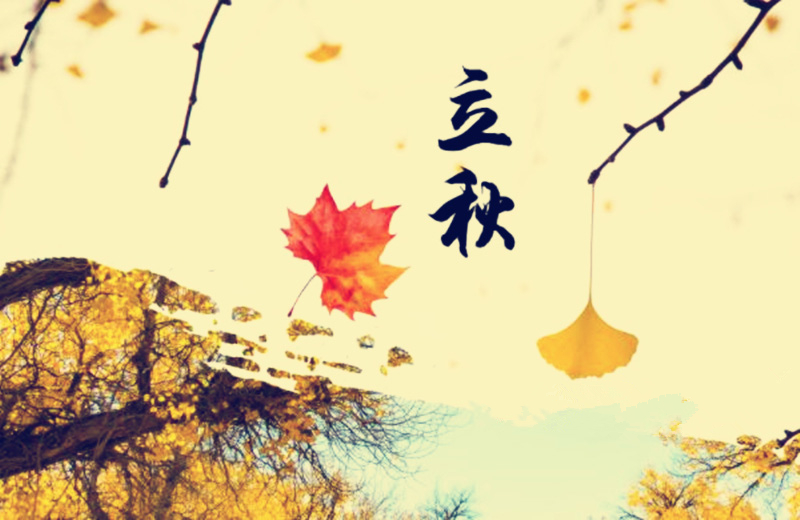 立秋節氣，搬家公司